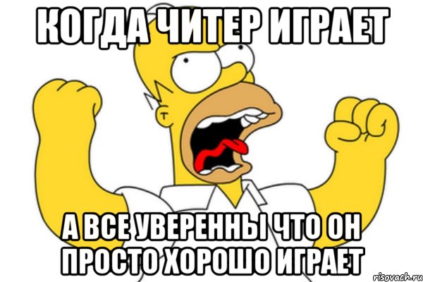 когда читер играет а все уверенны что он просто хорошо играет, Мем Разъяренный Гомер