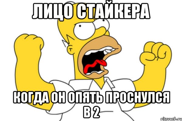 лицо стайкера когда он опять проснулся в 2, Мем Разъяренный Гомер