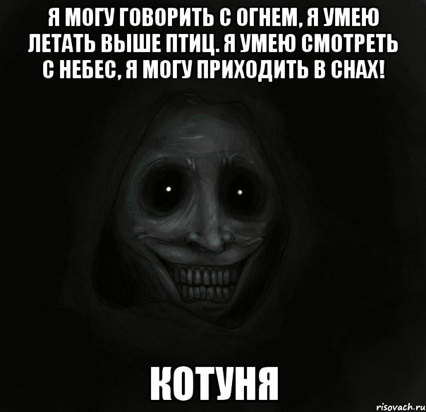 я могу говорить с огнем, я умею летать выше птиц. я умею смотреть с небес, я могу приходить в снах! котуня, Мем Ночной гость