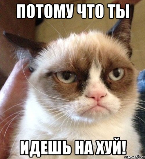 потому что ты идешь на хуй!
