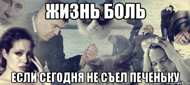 жизнь боль если сегодня не съел печеньку