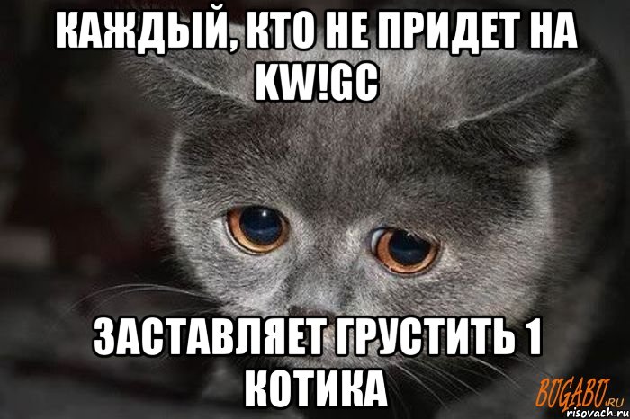 каждый, кто не придет на kw!gc заставляет грустить 1 котика