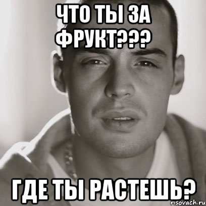 что ты за фрукт??? где ты растешь?, Мем Гуф