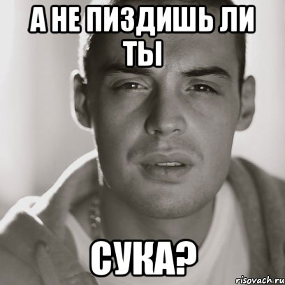 а не пиздишь ли ты сука?, Мем Гуф