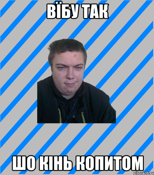 вїбу так шо кінь копитом