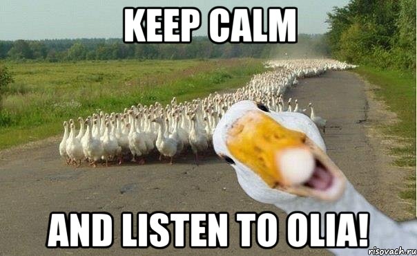 keep calm and listen to olia!, Мем гуси