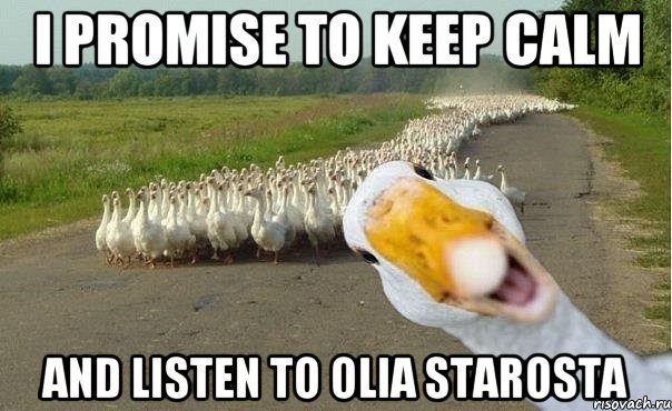 i promise to keep calm and listen to olia starosta, Мем гуси