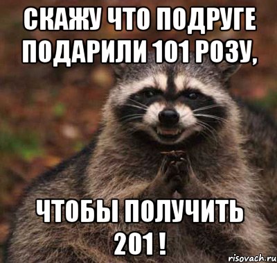 скажу что подруге подарили 101 розу, чтобы получить 201 !, Мем  Хитрый енот