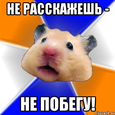 не расскажешь - не побегу!