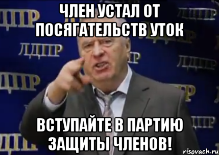 член устал от посягательств уток вступайте в партию защиты членов!