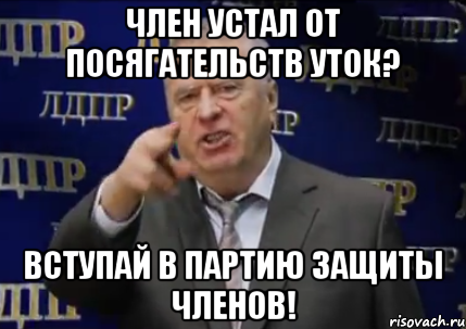 член устал от посягательств уток? вступай в партию защиты членов!