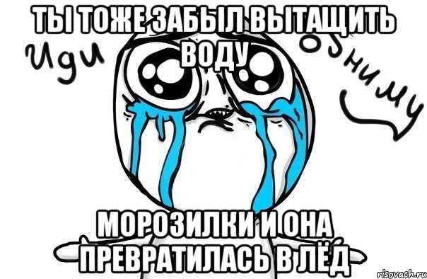 ты тоже забыл вытащить воду морозилки и она превратилась в лёд, Мем Иди обниму