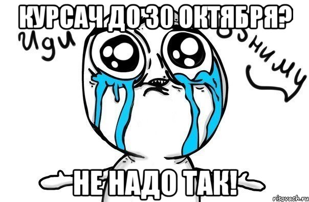 курсач до 30 октября? не надо так!, Мем Иди обниму