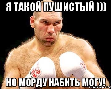 я такой пушистый ))) но морду набить могу!, Мем каменная голова