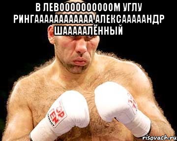 в левоооооооооом углу рингаааааааааааа алексааааандр шааааалённый , Мем каменная голова