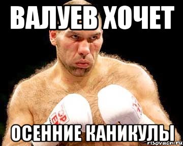 валуев хочет осенние каникулы, Мем каменная голова