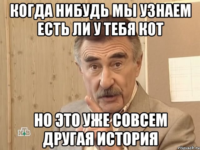 когда нибудь мы узнаем есть ли у тебя кот но это уже совсем другая история, Мем Каневский (Но это уже совсем другая история)