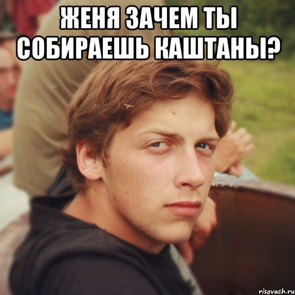 женя зачем ты собираешь каштаны? , Мем каштанов