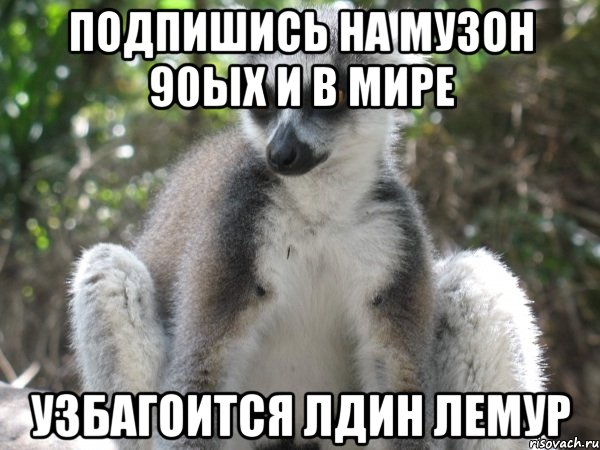 подпишись на музон 90ых и в мире узбагоится лдин лемур