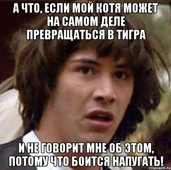 а что, если мой котя может на самом деле превращаться в тигра и не говорит мне об этом, потому что боится напугать!, Мем А что если (Киану Ривз)