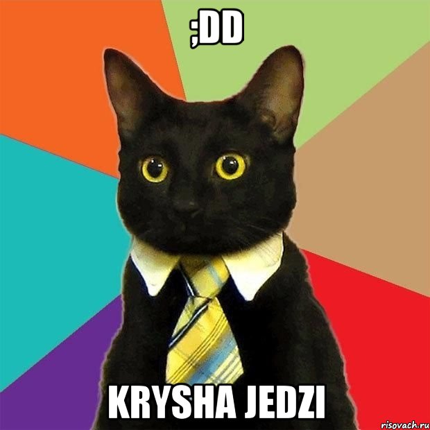 ;dd krysha jedzi, Мем  Кошечка