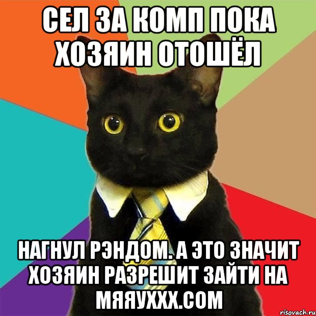 сел за комп пока хозяин отошёл нагнул рэндом. а это значит хозяин разрешит зайти на мяяуххх.сом, Мем  Кошечка