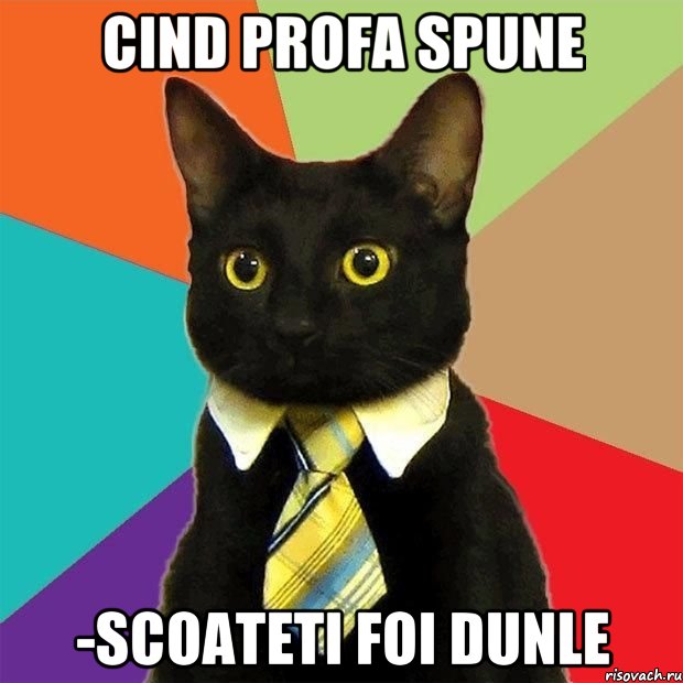 cind profa spune -scoateti foi dunle, Мем  Кошечка