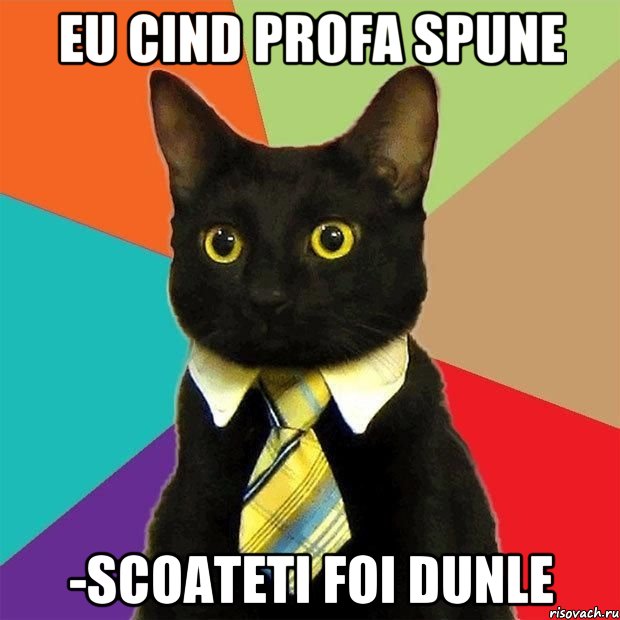 eu cind profa spune -scoateti foi dunle, Мем  Кошечка