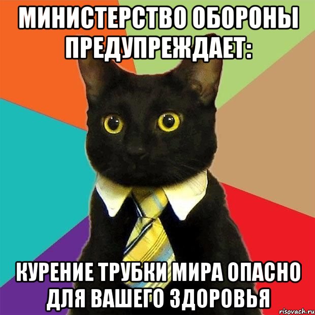 министерство обороны предупреждает: курение трубки мира опасно для вашего здоровья, Мем  Кошечка