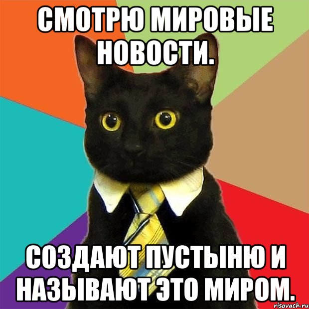 смотрю мировые новости. создают пустыню и называют это миром., Мем  Кошечка