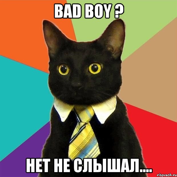 bad boy ? нет не слышал...., Мем  Кошечка