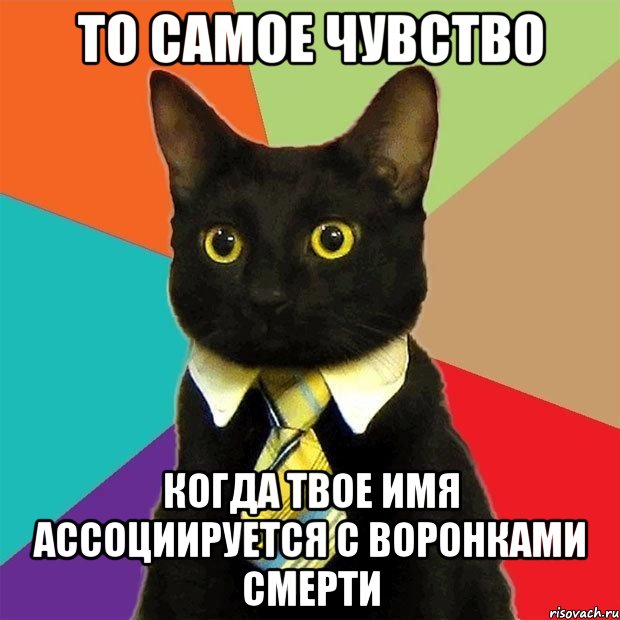 то самое чувство когда твое имя ассоциируется с воронками смерти, Мем  Кошечка