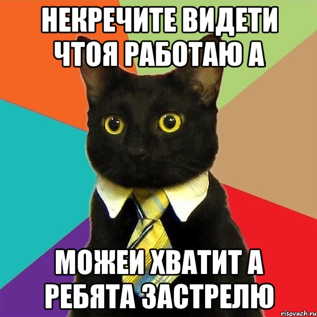 некречите видети чтоя работаю а можеи хватит а ребята застрелю, Мем  Кошечка