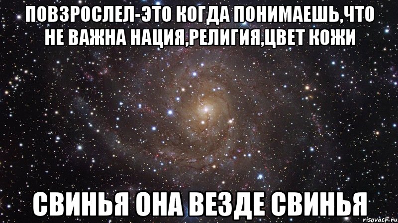 повзрослел-это когда понимаешь,что не важна нация,религия,цвет кожи свинья она везде свинья, Мем  Космос (офигенно)