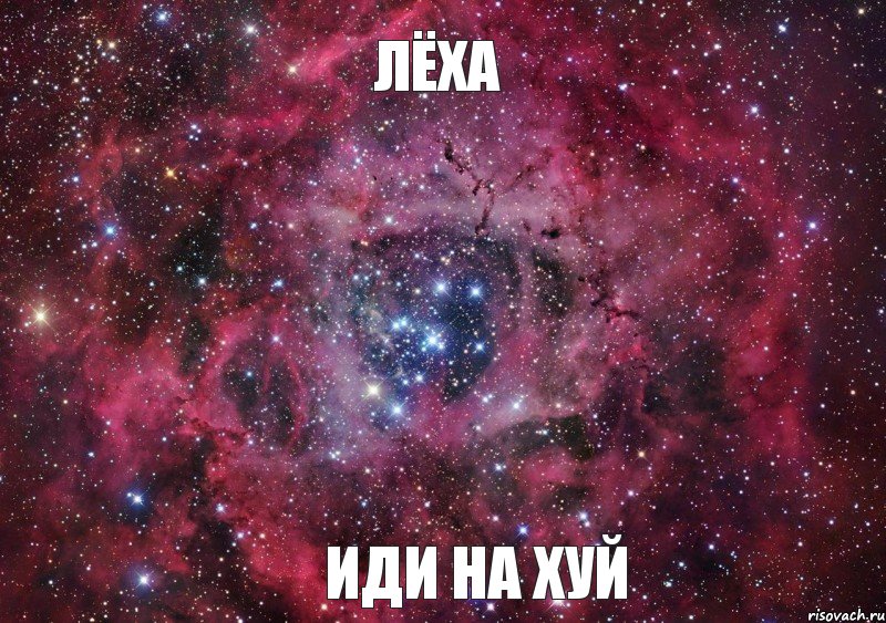 Лёха иди на хуй, Мем Ты просто космос