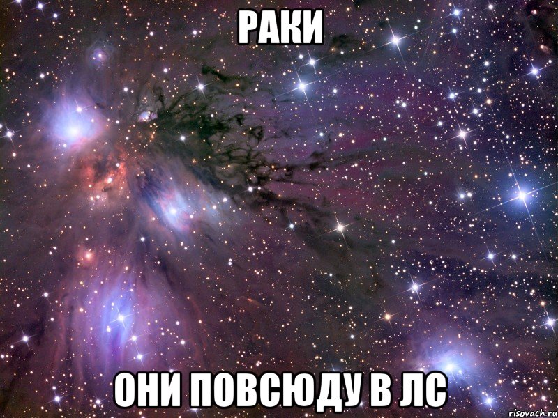 раки они повсюду в лс, Мем Космос