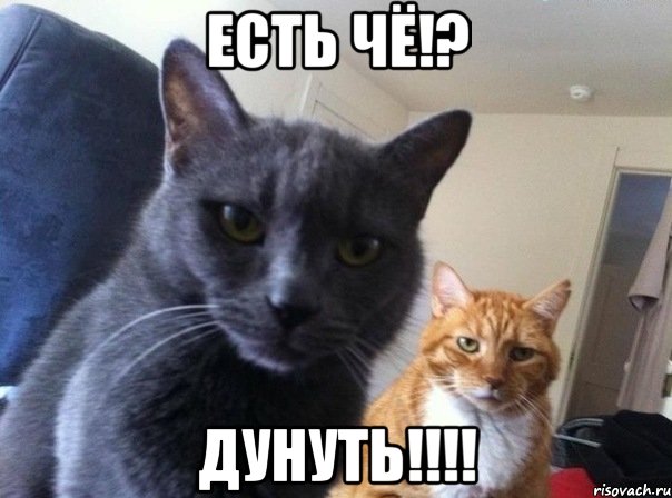 есть чё!? дунуть!!!