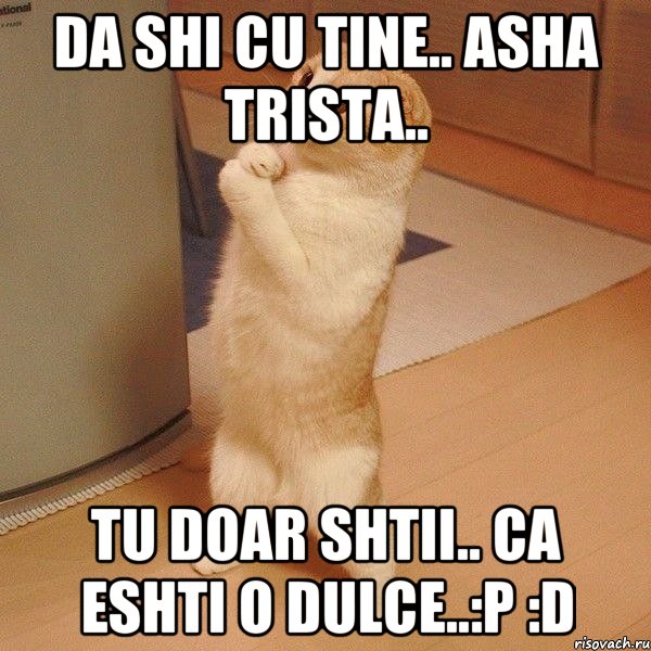 da shi cu tine.. asha trista.. tu doar shtii.. ca eshti o dulce..:p :d, Мем  котэ молится