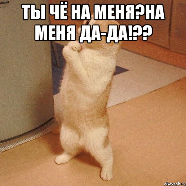 ты чё на меня?на меня да-да!?? , Мем  котэ молится