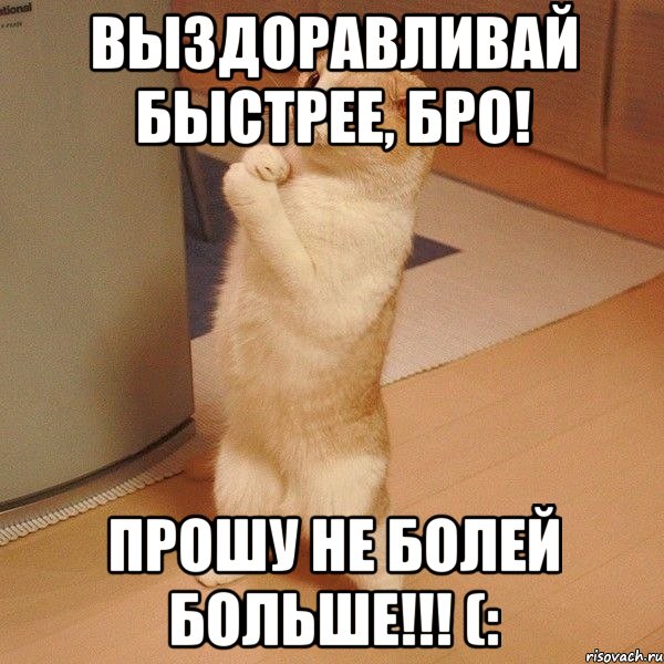 выздоравливай быстрее, бро! прошу не болей больше!!! (:, Мем  котэ молится