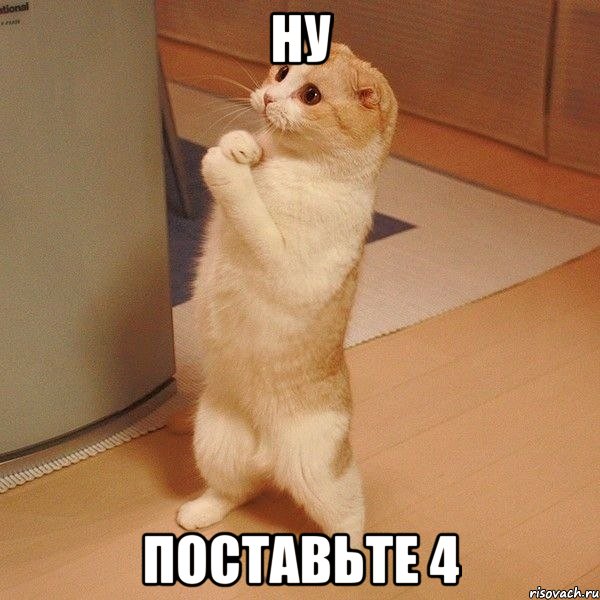 ну поставьте 4, Мем  котэ молится