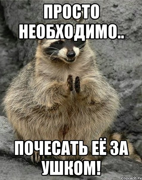 просто необходимо.. почесать её за ушком!