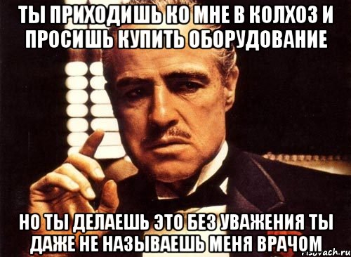 ты приходишь ко мне в колхоз и просишь купить оборудование но ты делаешь это без уважения ты даже не называешь меня врачом, Мем крестный отец