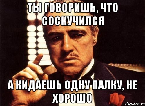 ты говоришь, что соскучился а кидаешь одну палку, не хорошо, Мем крестный отец