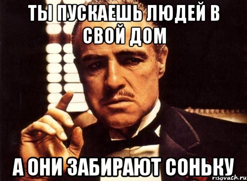 ты пускаешь людей в свой дом а они забирают соньку, Мем крестный отец