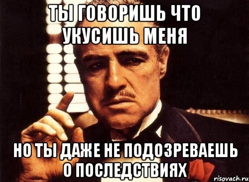 ты говоришь что укусишь меня но ты даже не подозреваешь о последствиях, Мем крестный отец