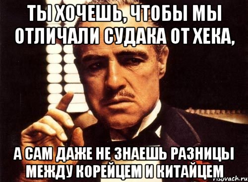 ты хочешь, чтобы мы отличали судака от хека, а сам даже не знаешь разницы между корейцем и китайцем, Мем крестный отец