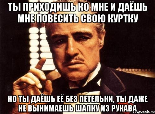 ты приходишь ко мне и даёшь мне повесить свою куртку но ты даёшь её без петельки, ты даже не вынимаешь шапку из рукава, Мем крестный отец