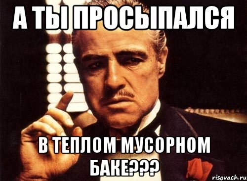 а ты просыпался в теплом мусорном баке???, Мем крестный отец