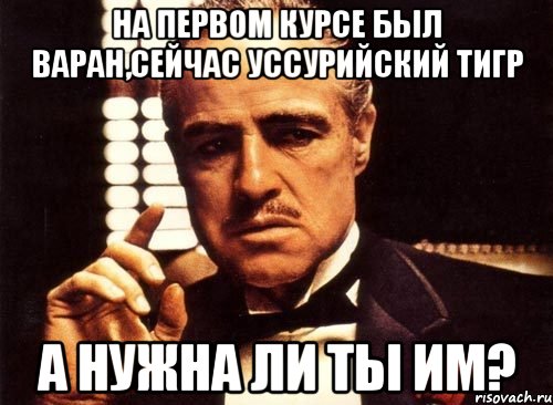 на первом курсе был варан,сейчас уссурийский тигр а нужна ли ты им?, Мем крестный отец